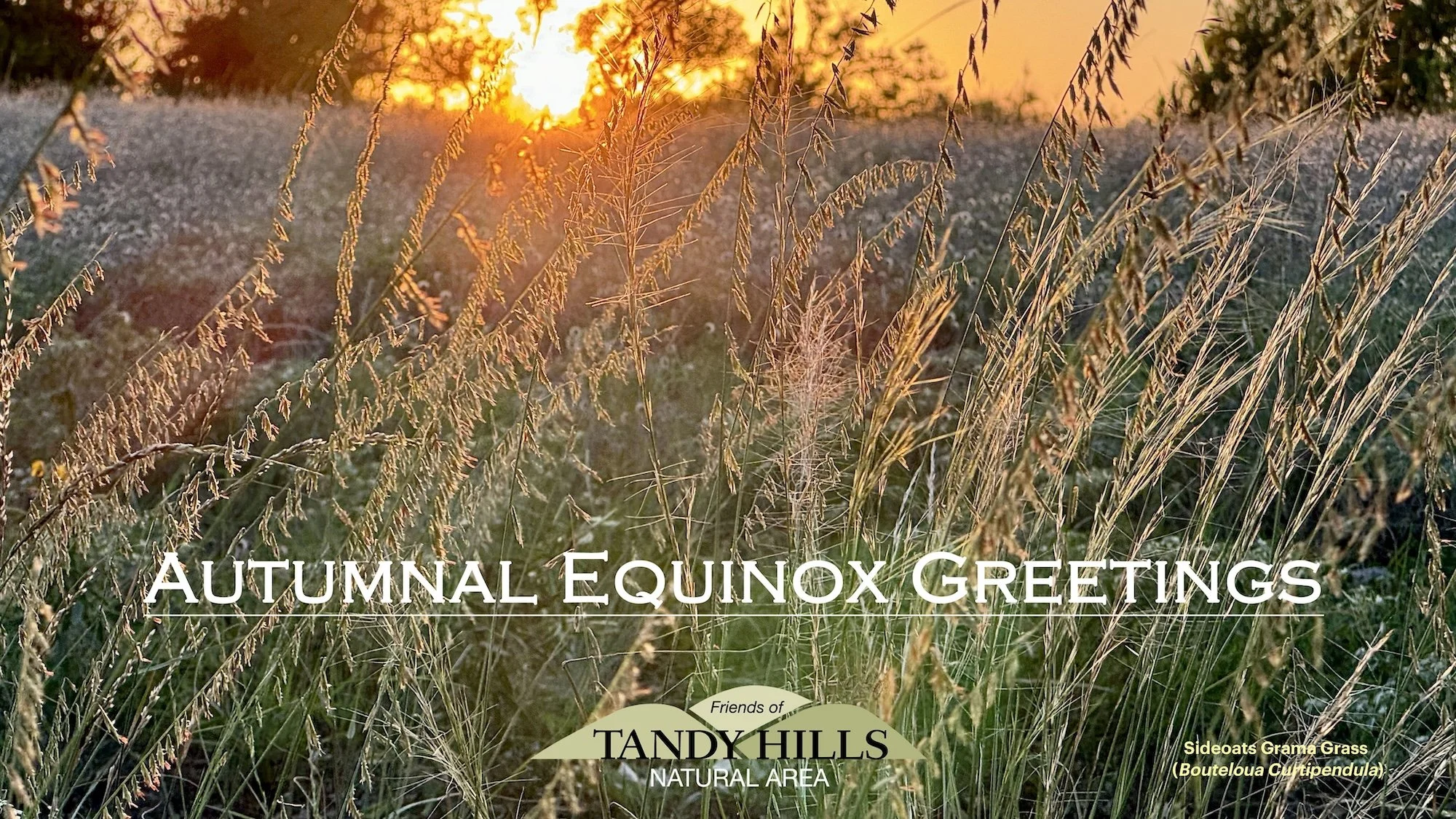 Autumnal Equinox Greetings - 2026