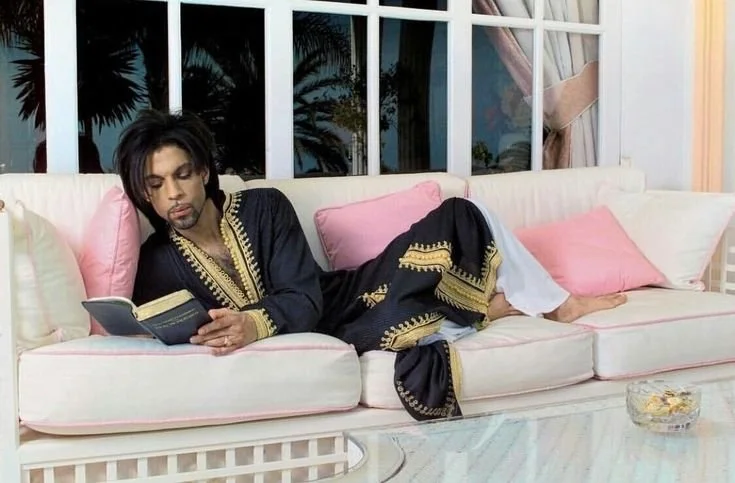 prince &amp; the evolution