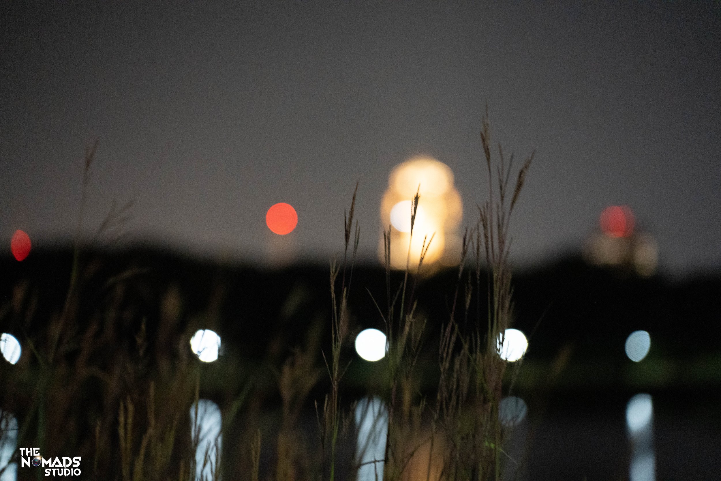 Nighttime scene with tall grass in foreground and blurred city lights in background, including large bright moon or city light in the sky.