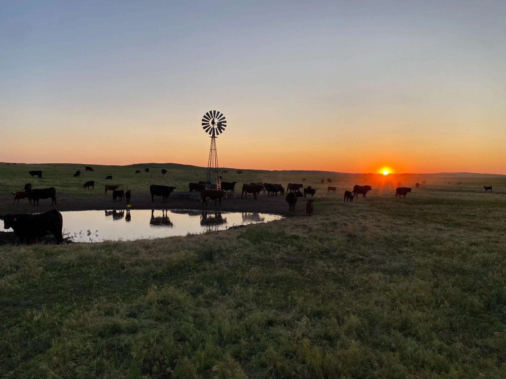NDAA Fall Angus Tour Registration