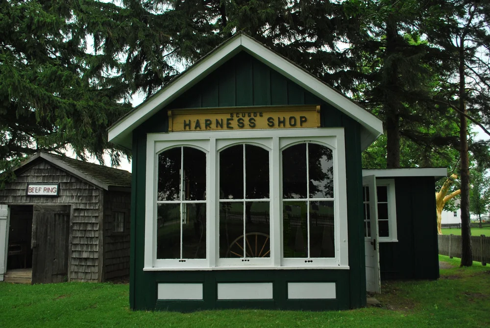 DSC_0127.JPG-2024-7-4 15.8.14.JPG