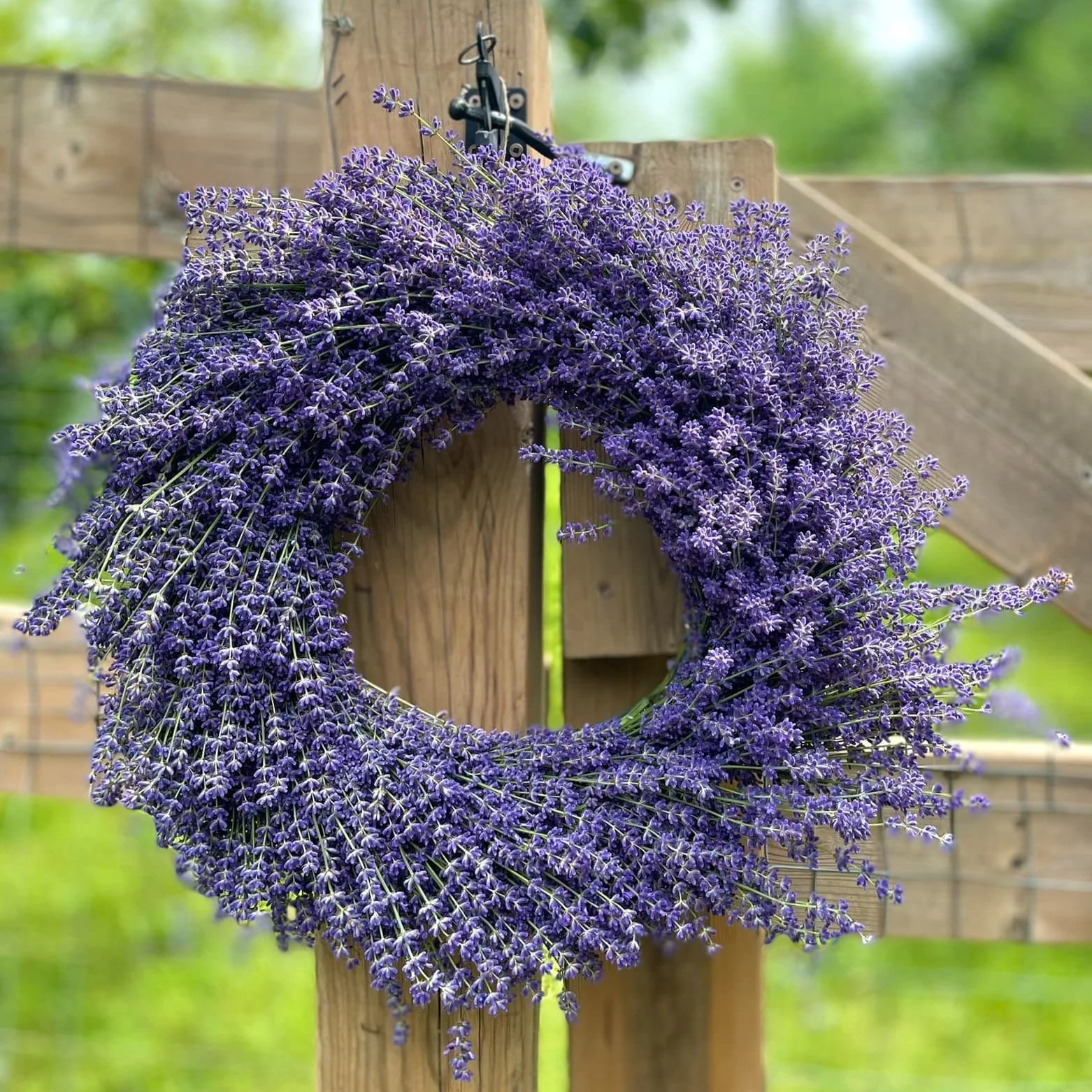 Lavender Wreath Making Workshop at Lavender-Blu