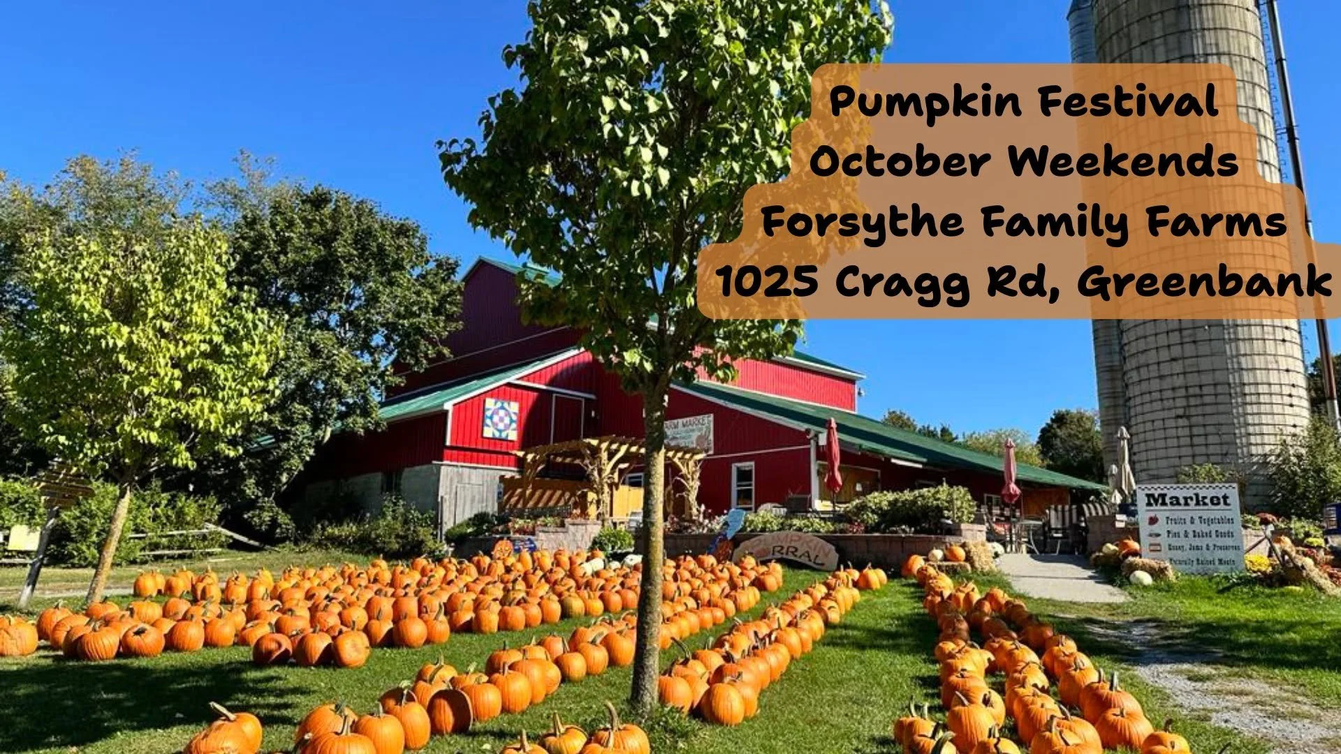 SAT - Pumpkin Festival at Forsythe