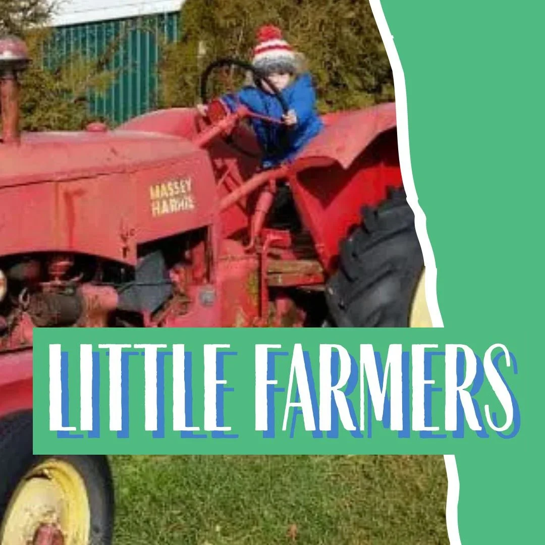 Little Farmers Toddler Program at Forsythe Family Farms (June Session)