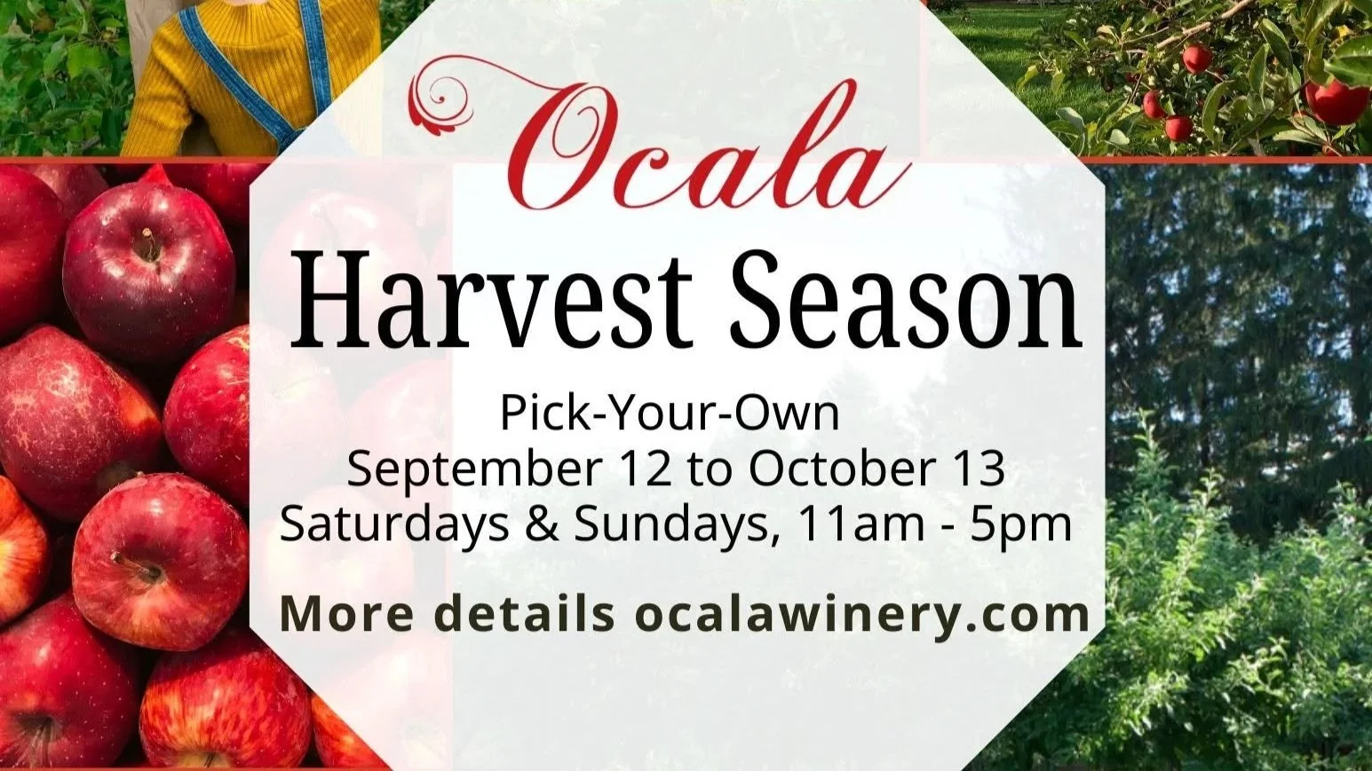 SAT - Pick Your Own Weekends at Ocala