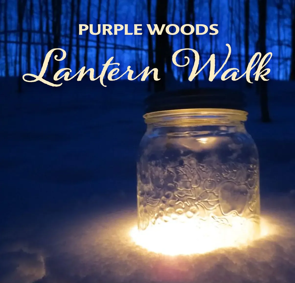 SAT/SUN: Purple Woods Lantern Walk