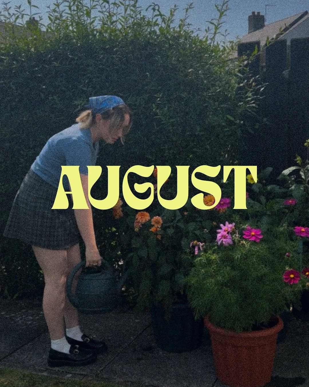 some nice things (and not so nice things) from august 🌞 
1. spending all summer waiting on my flowers to bloom 🌸
2. rory 🫱🏻&zwj;🫲🏼 deck chair 
3. first ever tomatoes (green tommie relish pending)
4. the key lime banoffee from @establishedcoffee