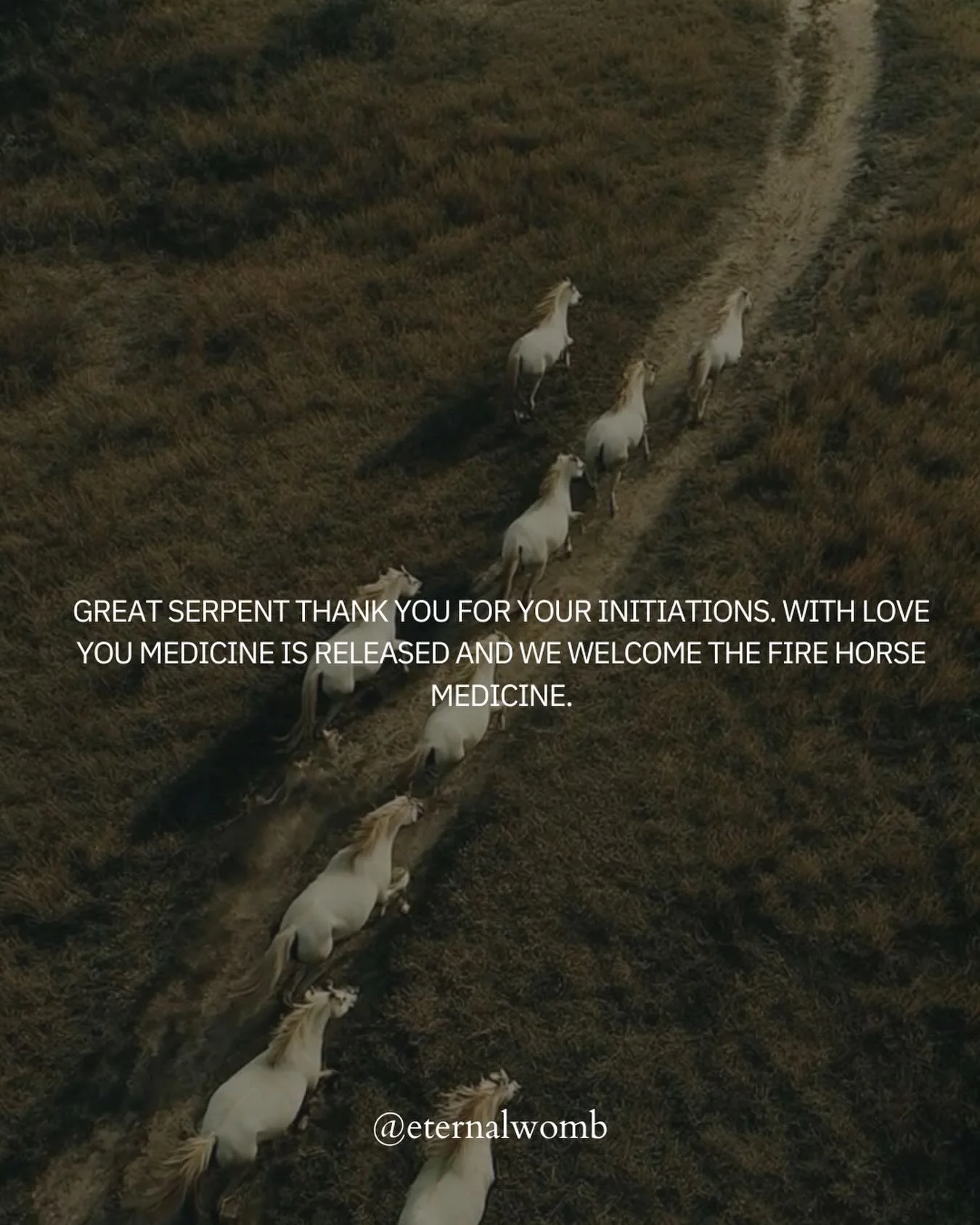 Let&rsquo;s be real, the serpent Mother is always with us, as the sacred feminine. The Snake year&rsquo;s dose of medicine is exactly what the holy mother ordered. The veil has lifted, corruption witnessed collectively and the matriarch movement is r