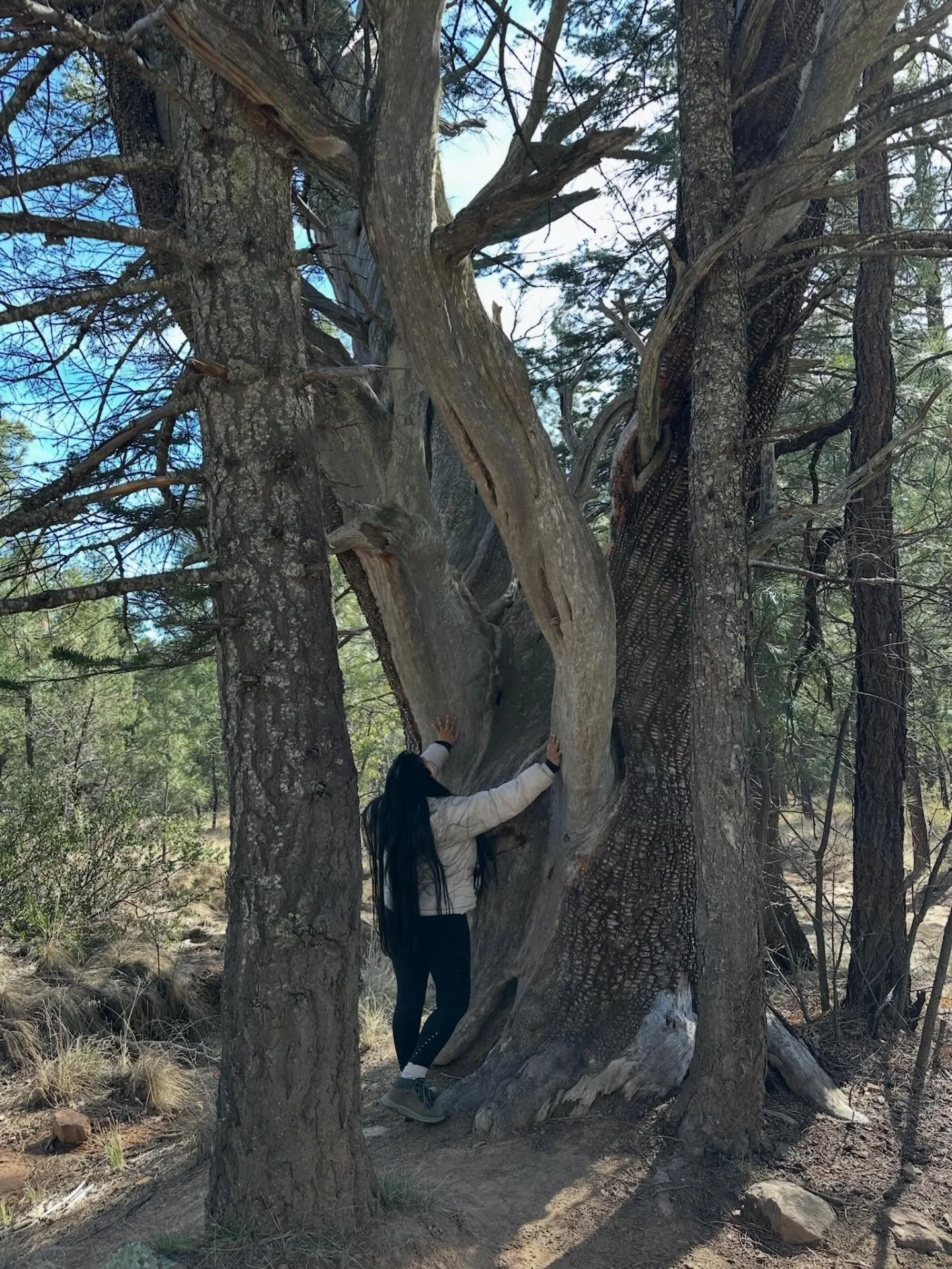 My husband took my family and I up North for my birthday. He is fully aware of the potent energies moving through collectively, the solar eclipse in Aquarius, Venus rising out of the underworld and Chinese New Year. When we know big shifts are coming