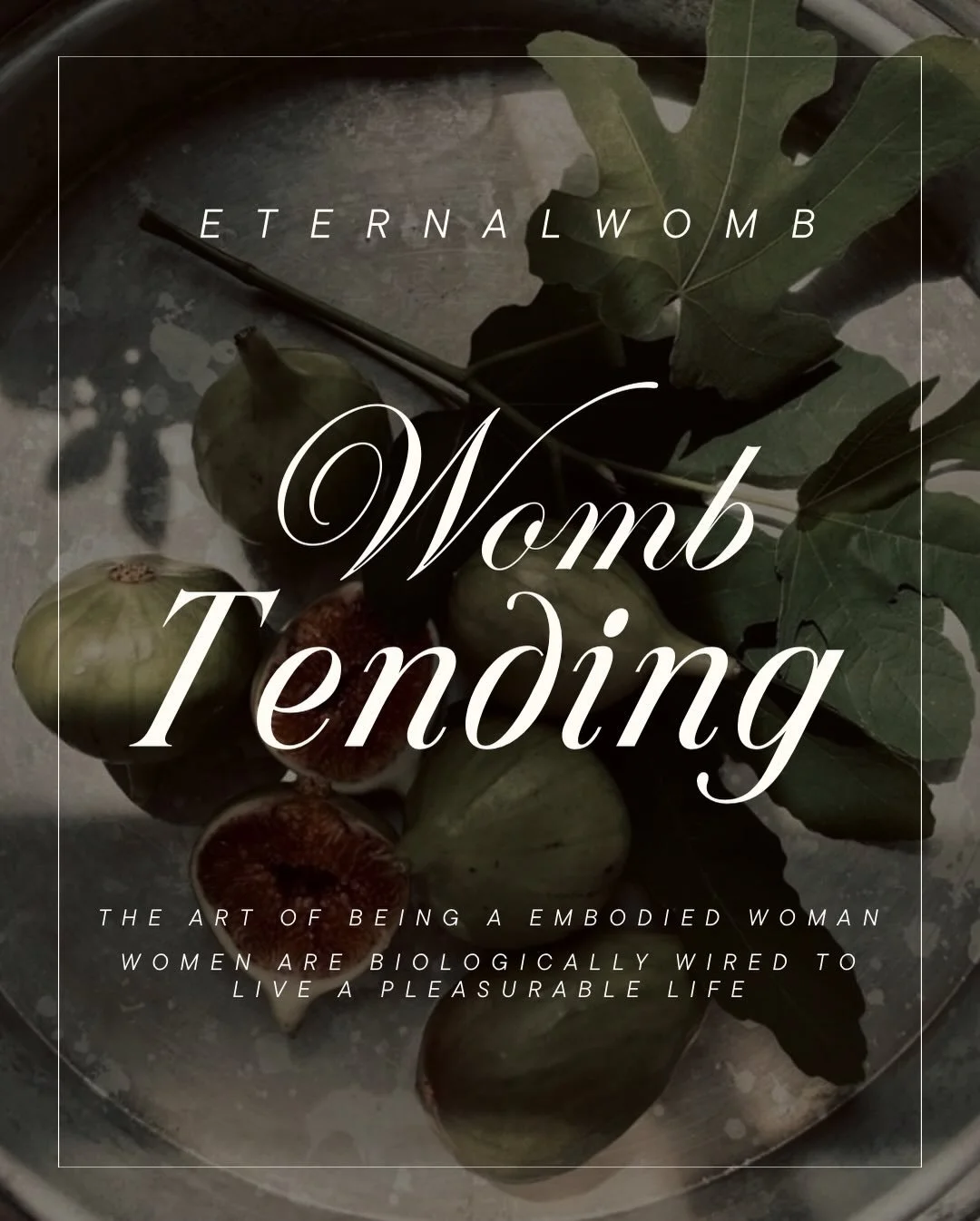 The next evolution of women is here and she is deeply embodied in her womb. 🫦