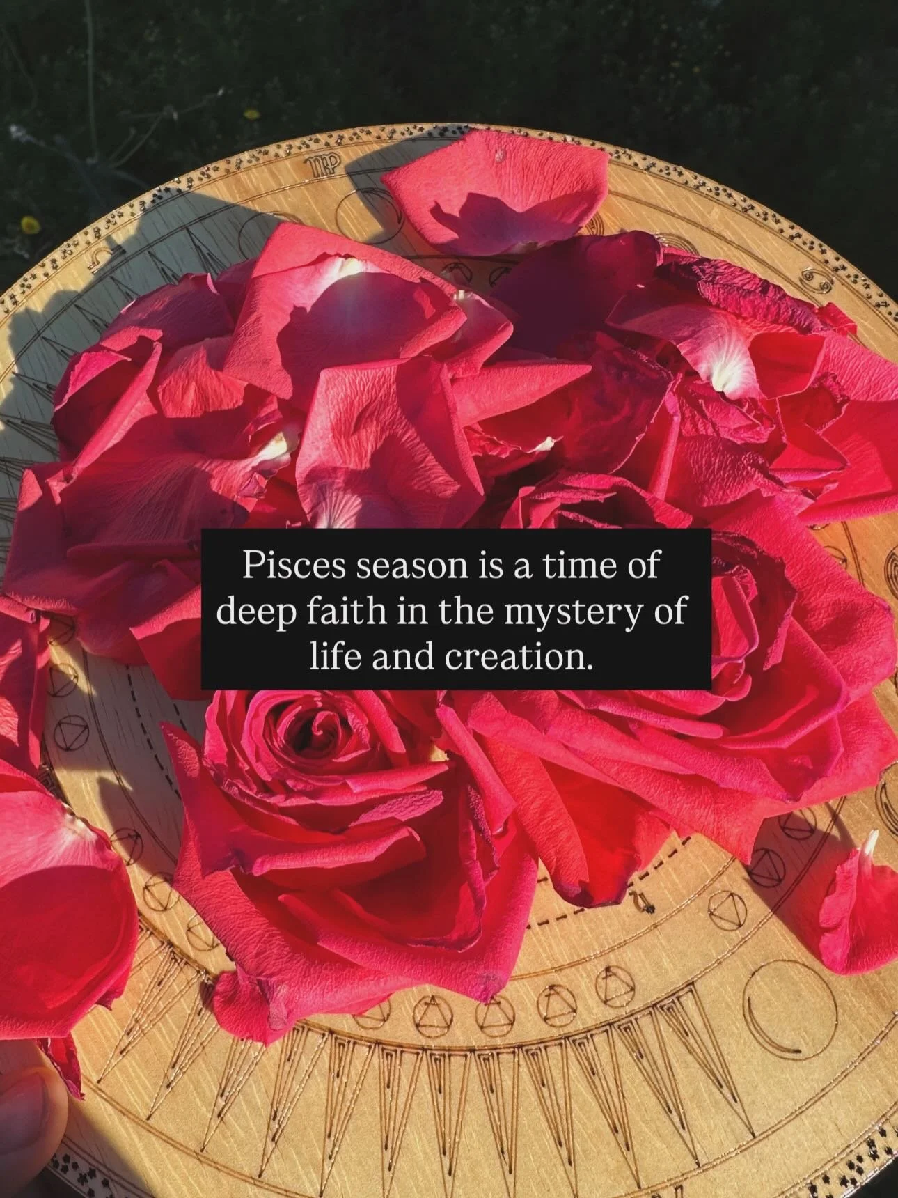 Melt into the cosmic soup. Let her ravish you and enjoy the ride. You won&rsquo;t be the same after this Mercury retrograde in Pisces and total Lunar Eclipse. Use this energy wisely. 

With love,
Cassandra 𓆃