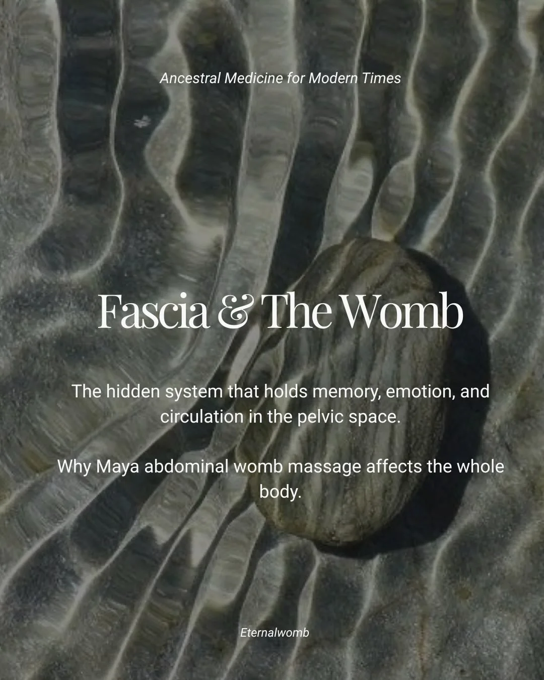 Fascia, the body&rsquo;s living connective tissue is one of the most overlooked systems, yet it profoundly influences pelvic health, emotional clarity, and nervous system balance.

The womb is suspended within this elegant, intelligent network, which