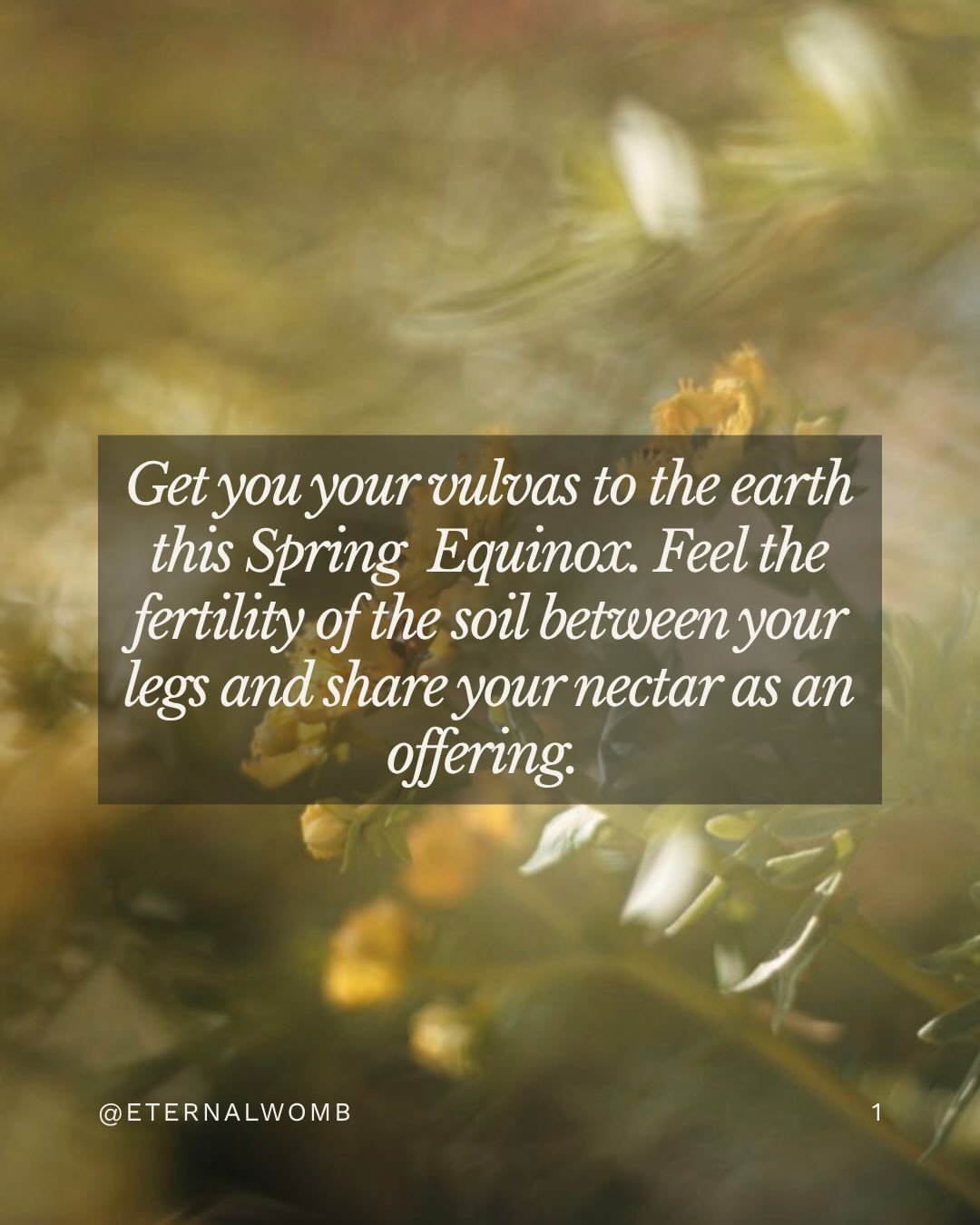 Blessings to all this Spring Equinox in the North! 💐 May the fertility of our emerald earth nourish you in every way.