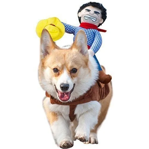 1662493598-pet-halloween-costume-cowboy-1662493572.jpg