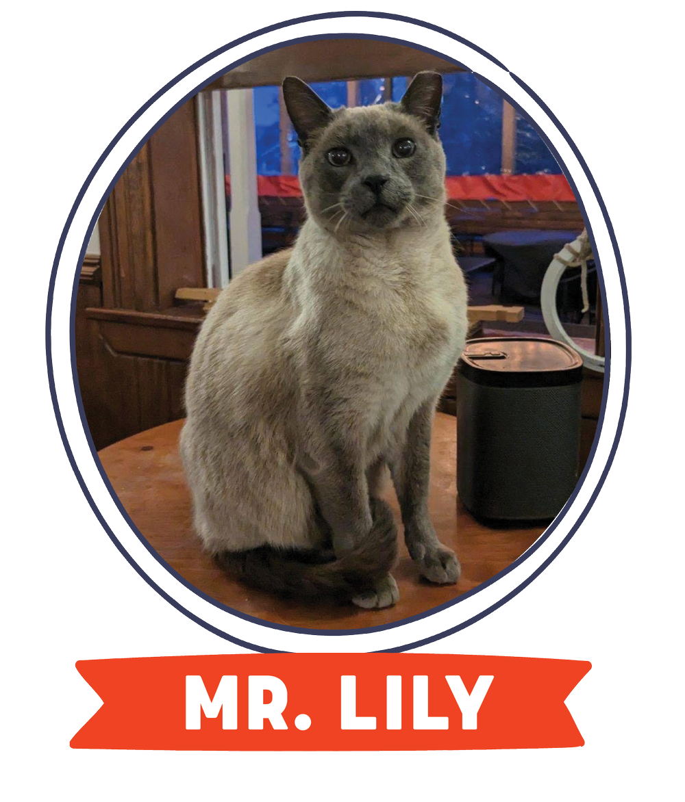 Mayor Mr Lily