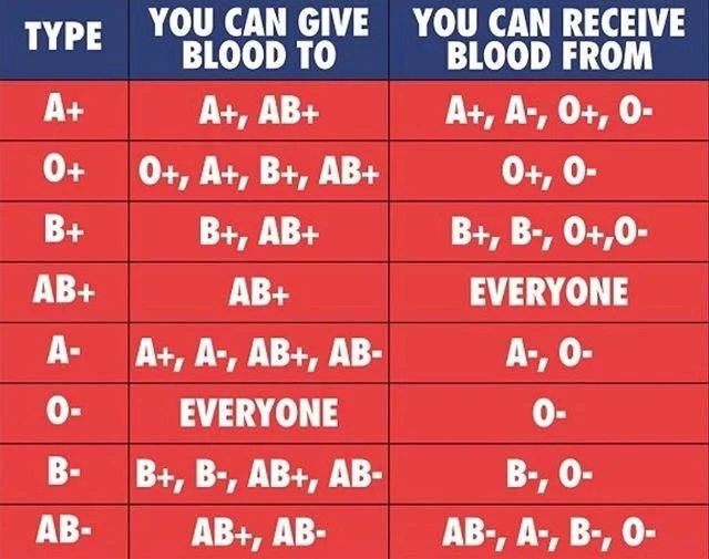 Chart of different blood types of humans and what blood types they can give and receive blood from