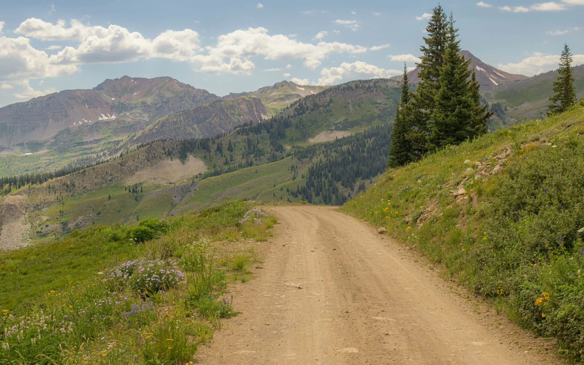 2026-july-10-washington-gulch-pass-crested-butte-web.jpg