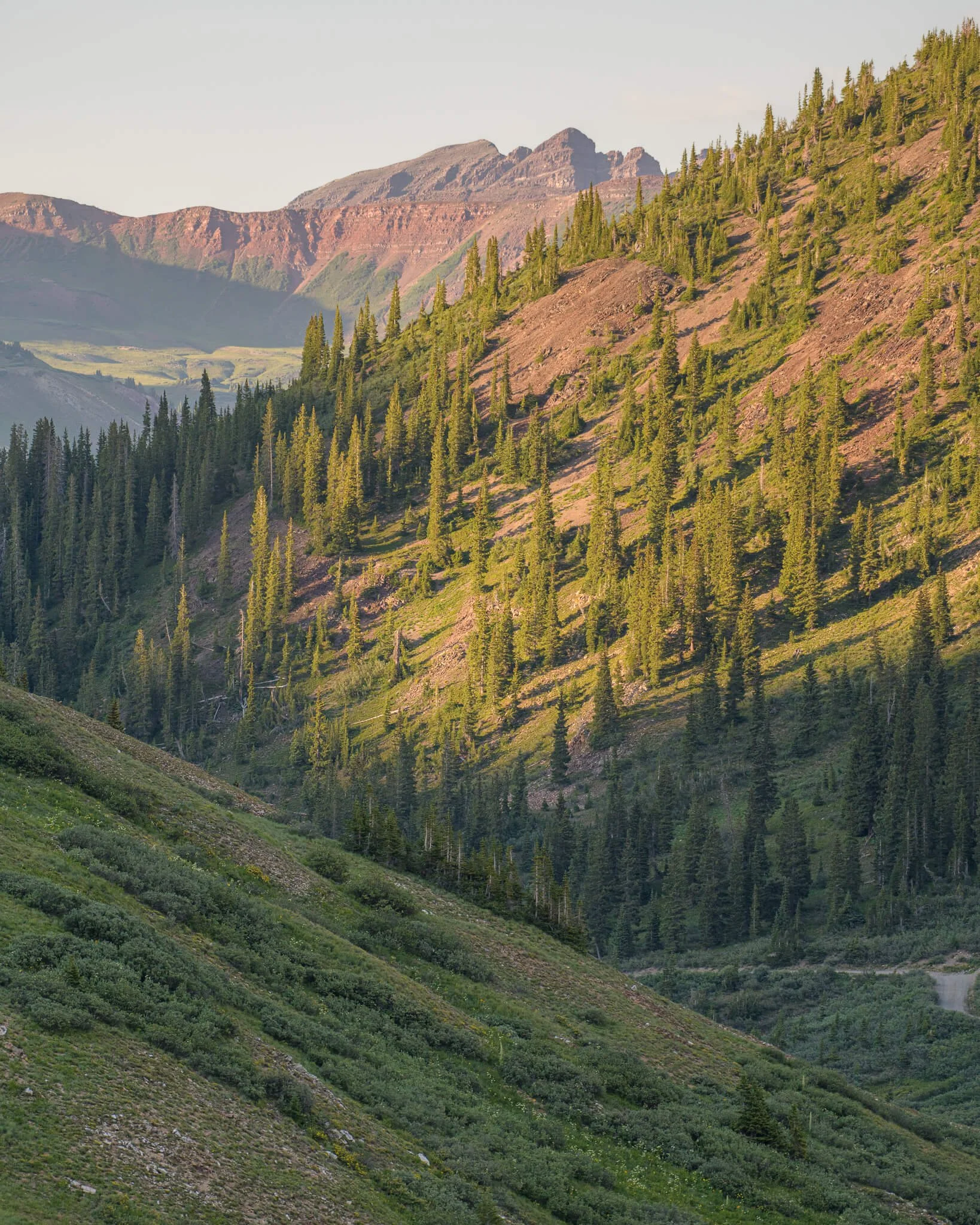 2026-july-10-paradise-basin-crested-butte-web.jpg
