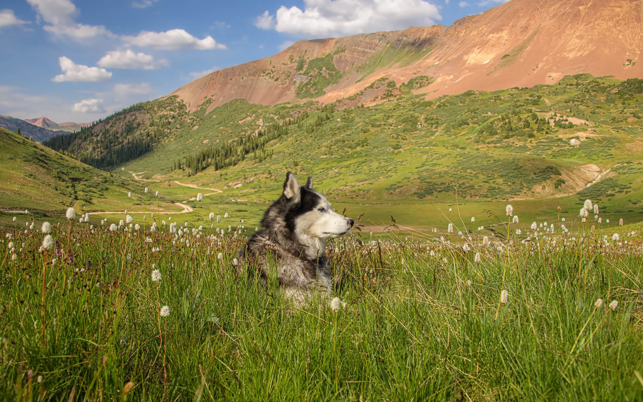 2026-july-10-paradise-divide-storm-1-crested-butte-web.jpg