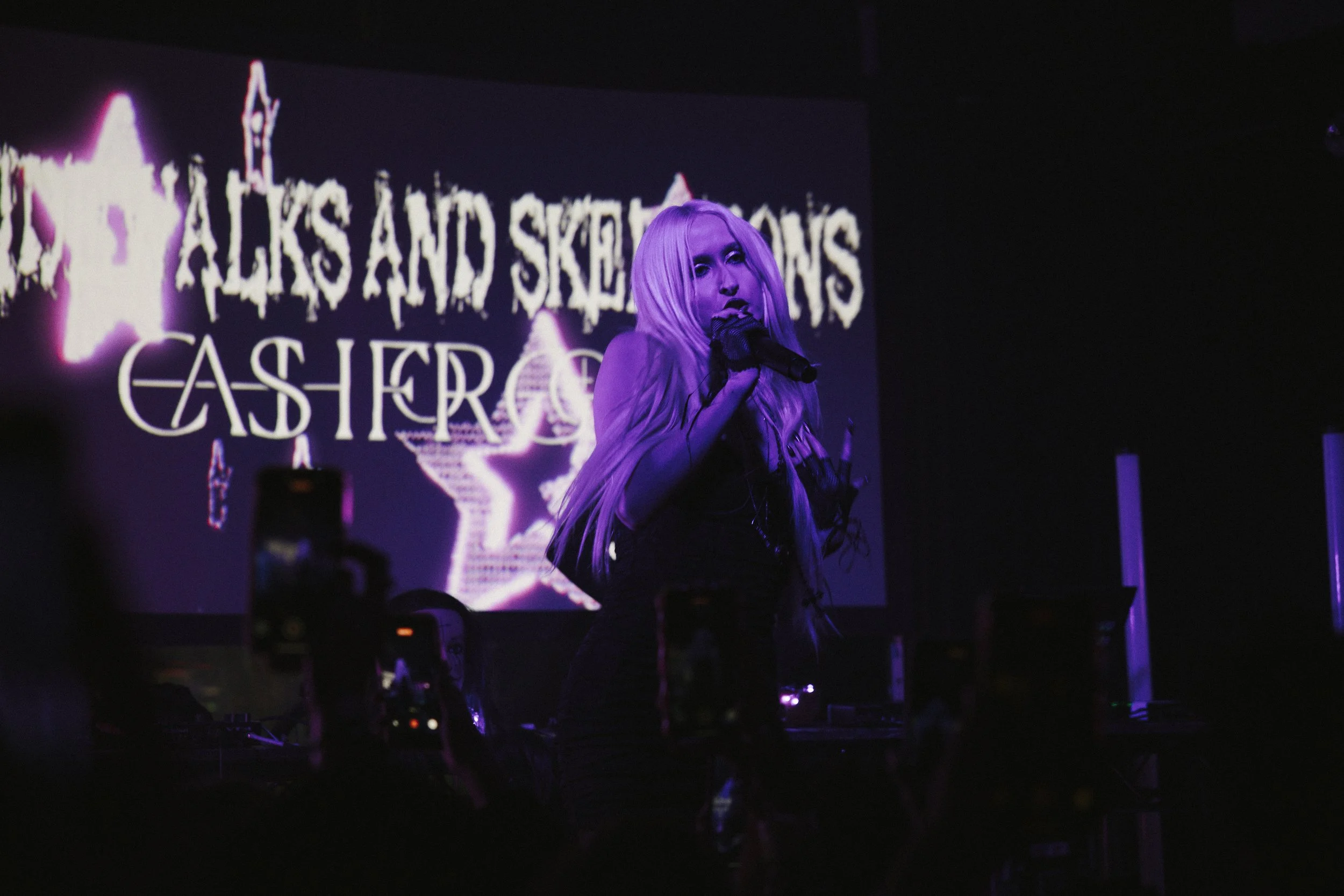 Sidewalks and Skeletons at Market Hotel