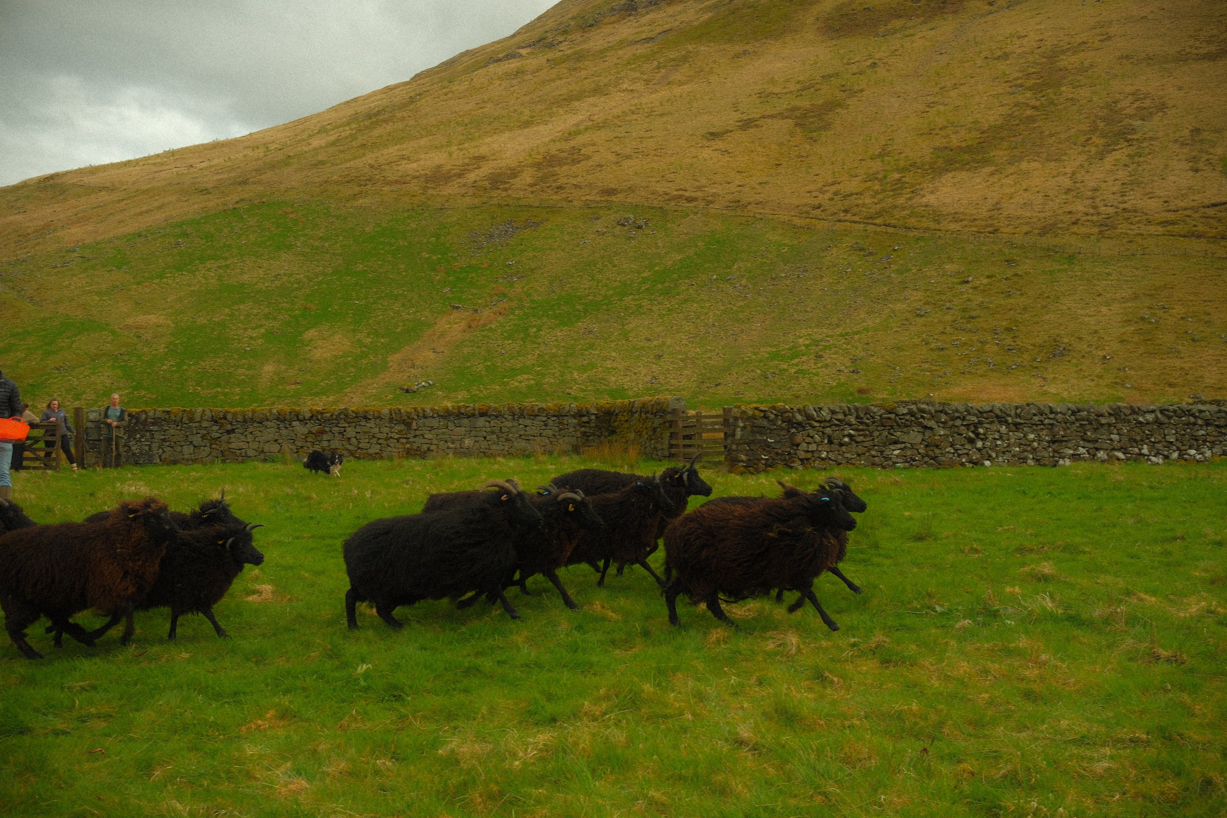 DSCF1775.JPG