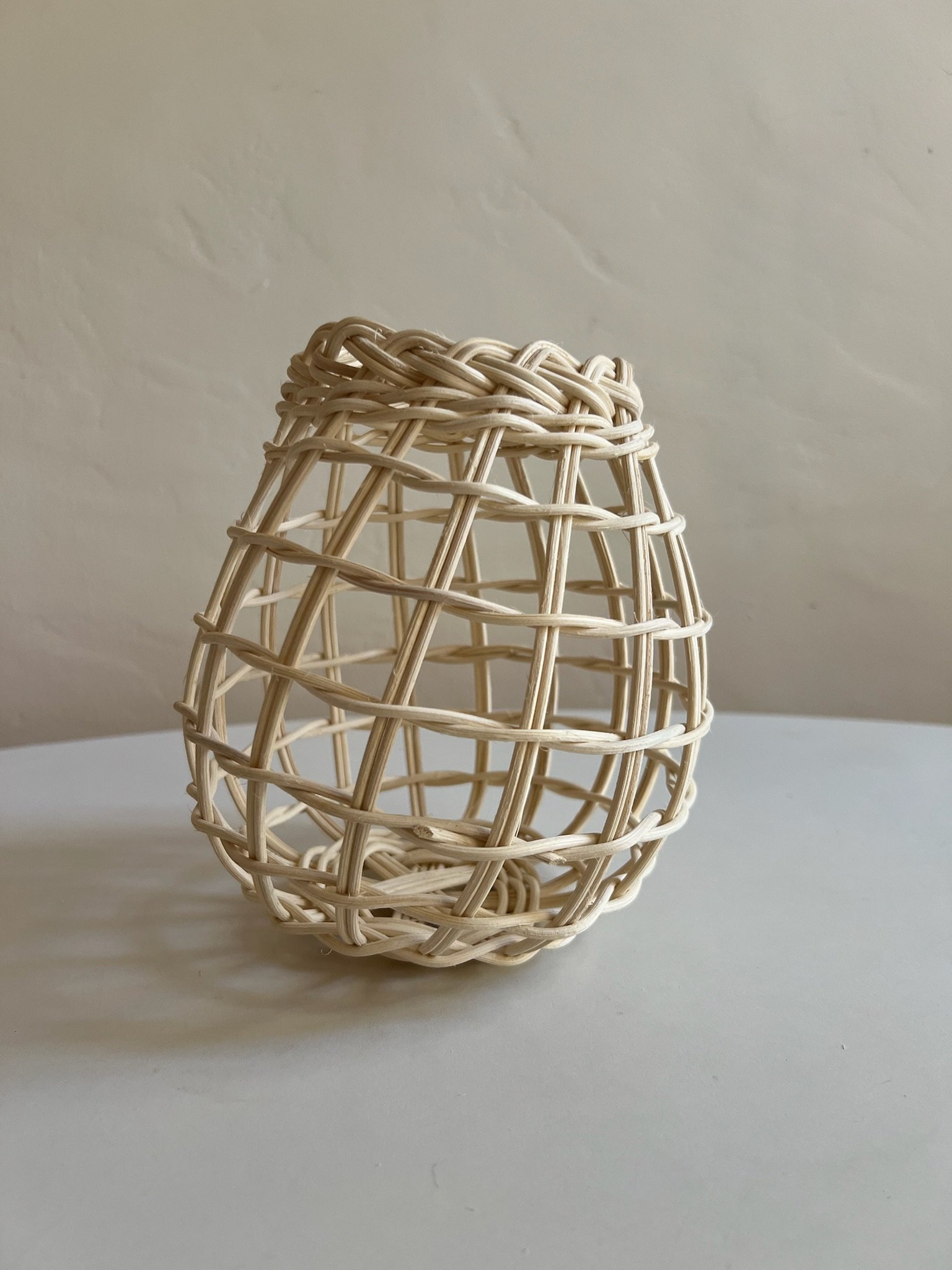 onion-basket.JPG