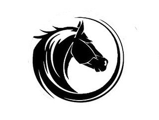 Equine-Assisted Psychotherapy in Alberta: Services Near Medicine Hat at Gendron Equine Wellness