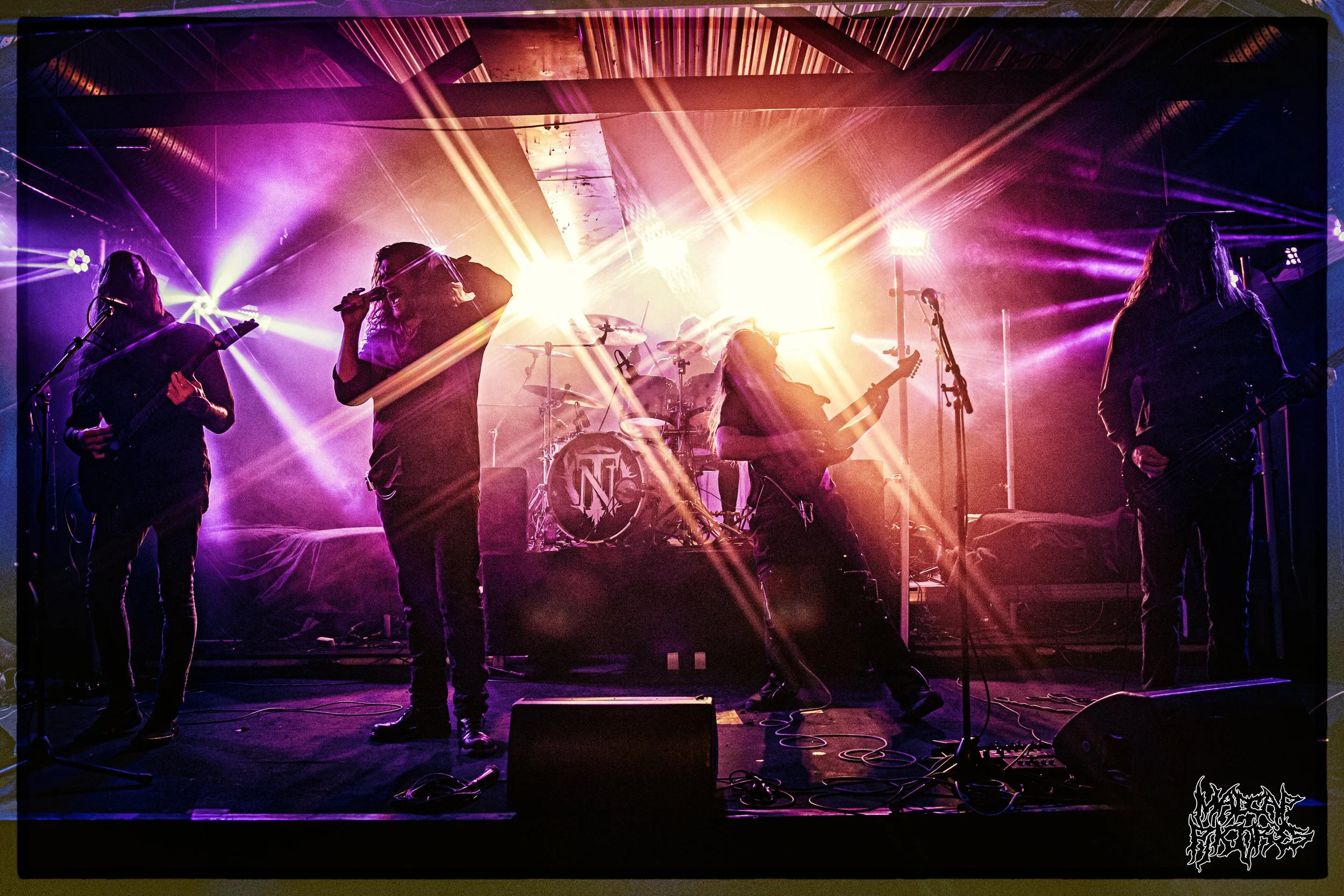 Oak, Ash &amp; Thorn