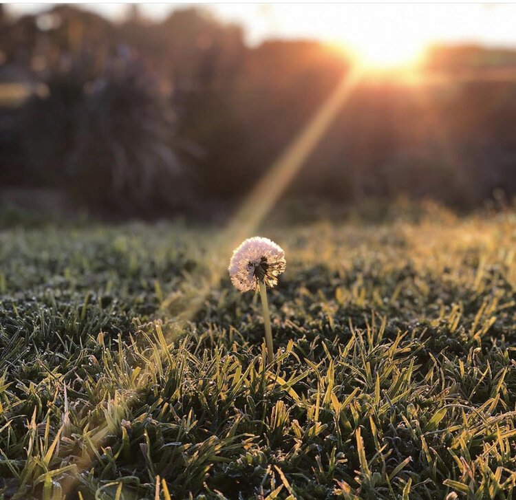 We can’t keep running away from the virus. Here’s what we need to do instead.