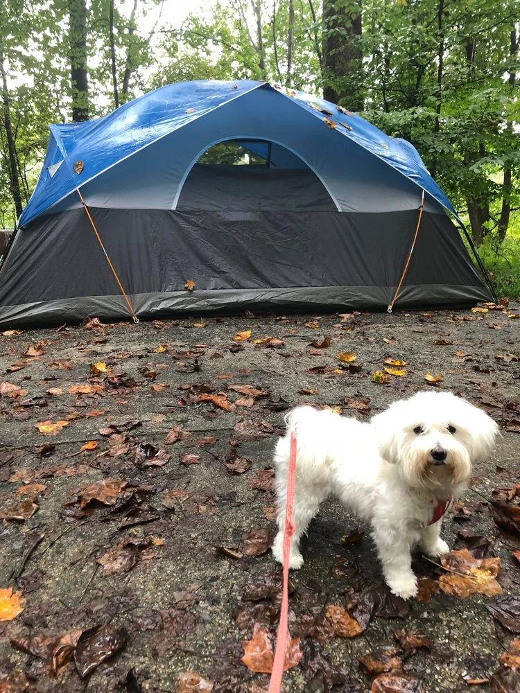 Five lessons from the sickest among us