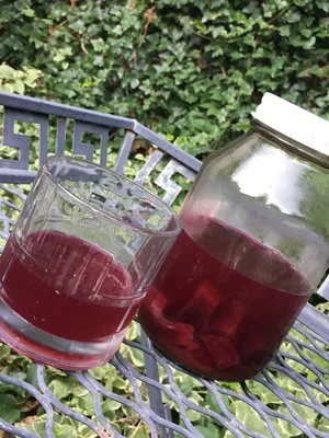 When it comes to health, go with your gut!