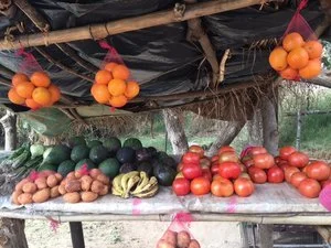 What's cooking in Zimbabwe?