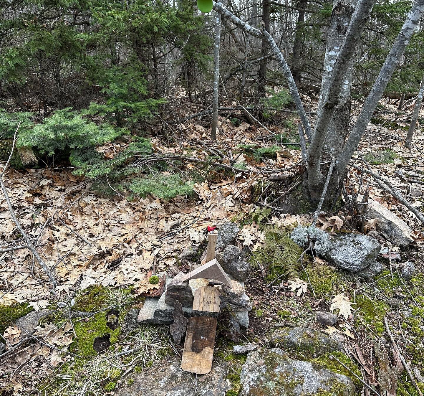 Words out! 🤓 The fairy garden is growing and my #bestguestsevah are building amazing fairy houses and even adding their own art and figurines to the garden! 💕 #katydidcabins