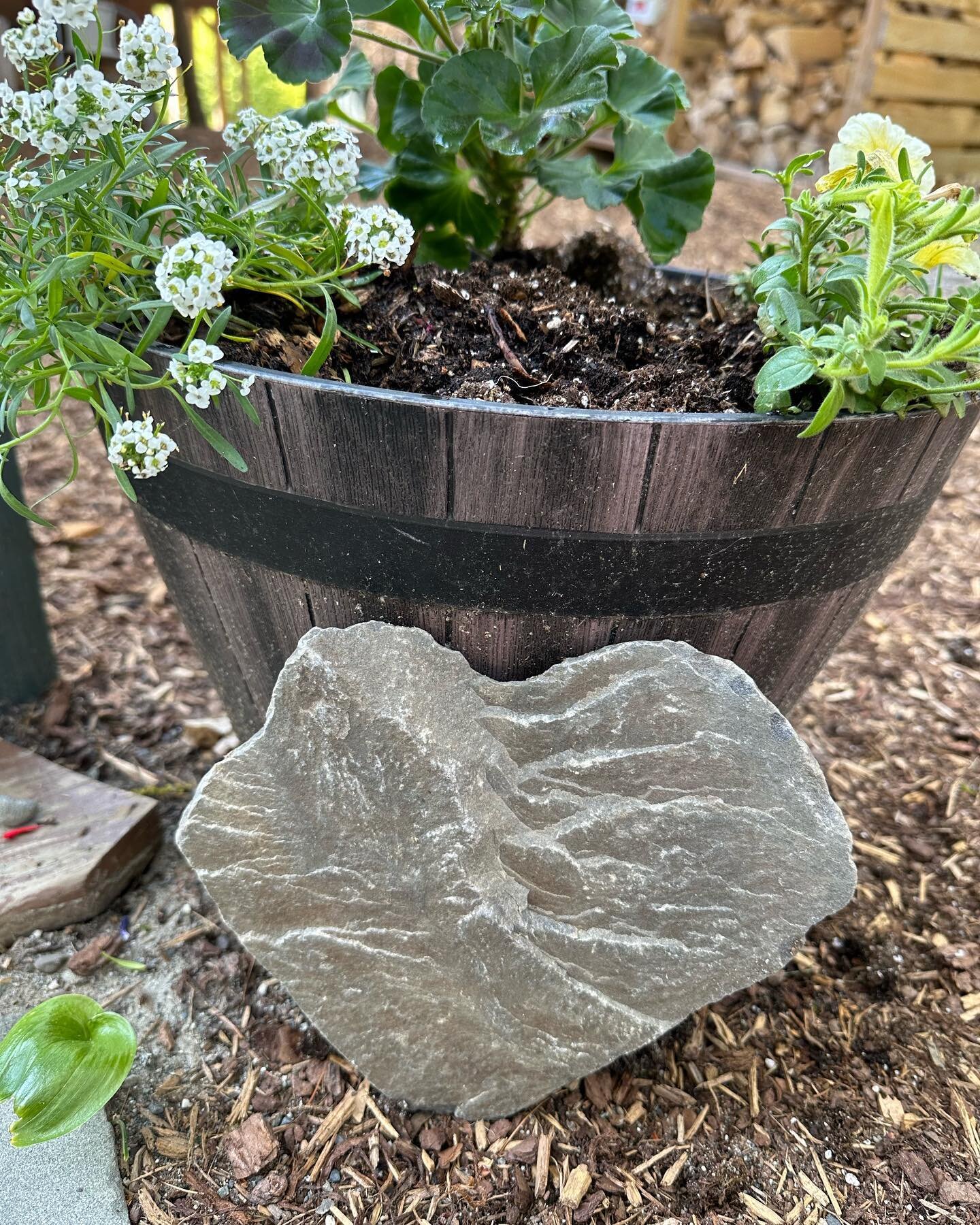 Even the rocks ❤️ #katydidcabins
