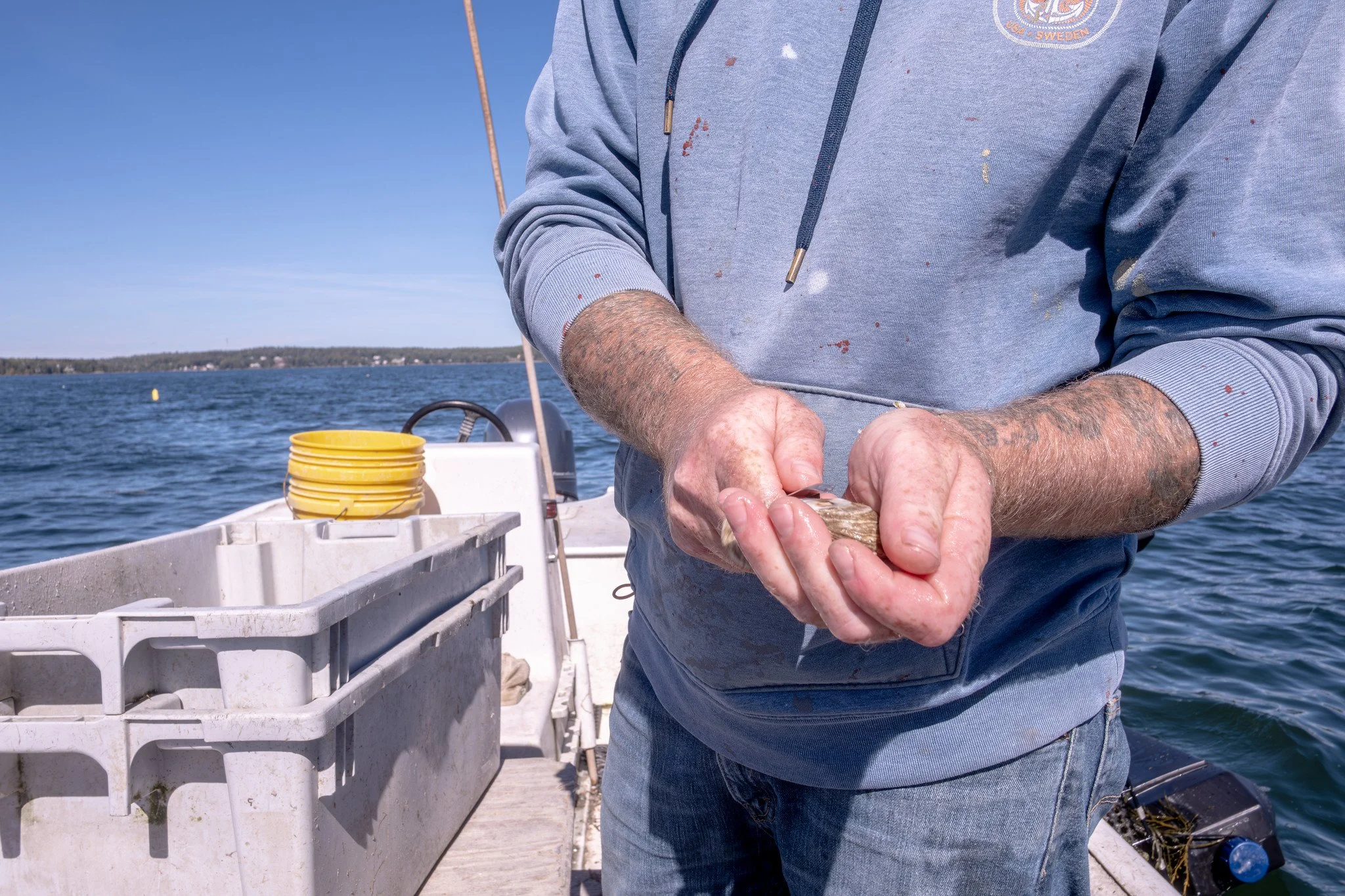 Graham Platner wearing a gray hoodie with paint stains, holding a oyster on a boat with water and distant shoreline in the background. Photo by Nick Gervin.