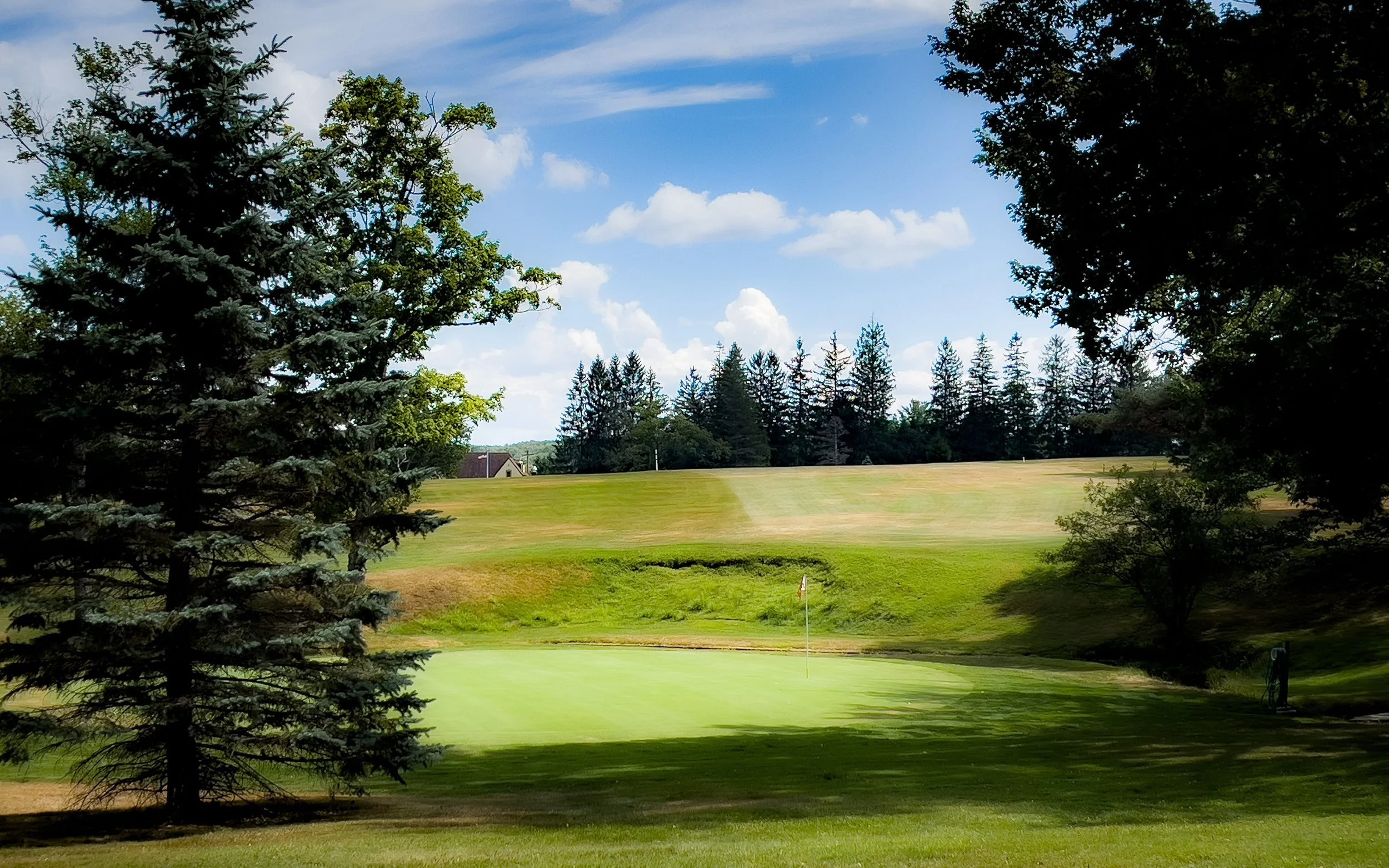 A golf course with a green, flagstick, and sand bunker, surrounded by trees and a blue sky with clouds.