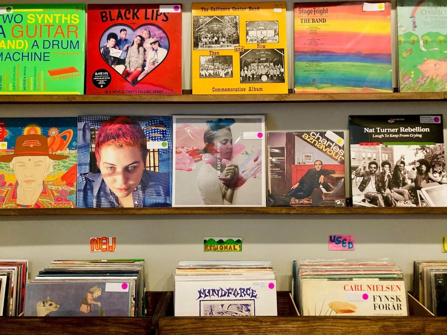 A bookshelf with colorful album covers and vinyl records, including 'Two Synths a Guitar and a Drum Machine,' 'Black Lips,' 'The Callicoon Center Band,' and others, with some labels such as 'New,' 'Regional,' and 'Used' below.