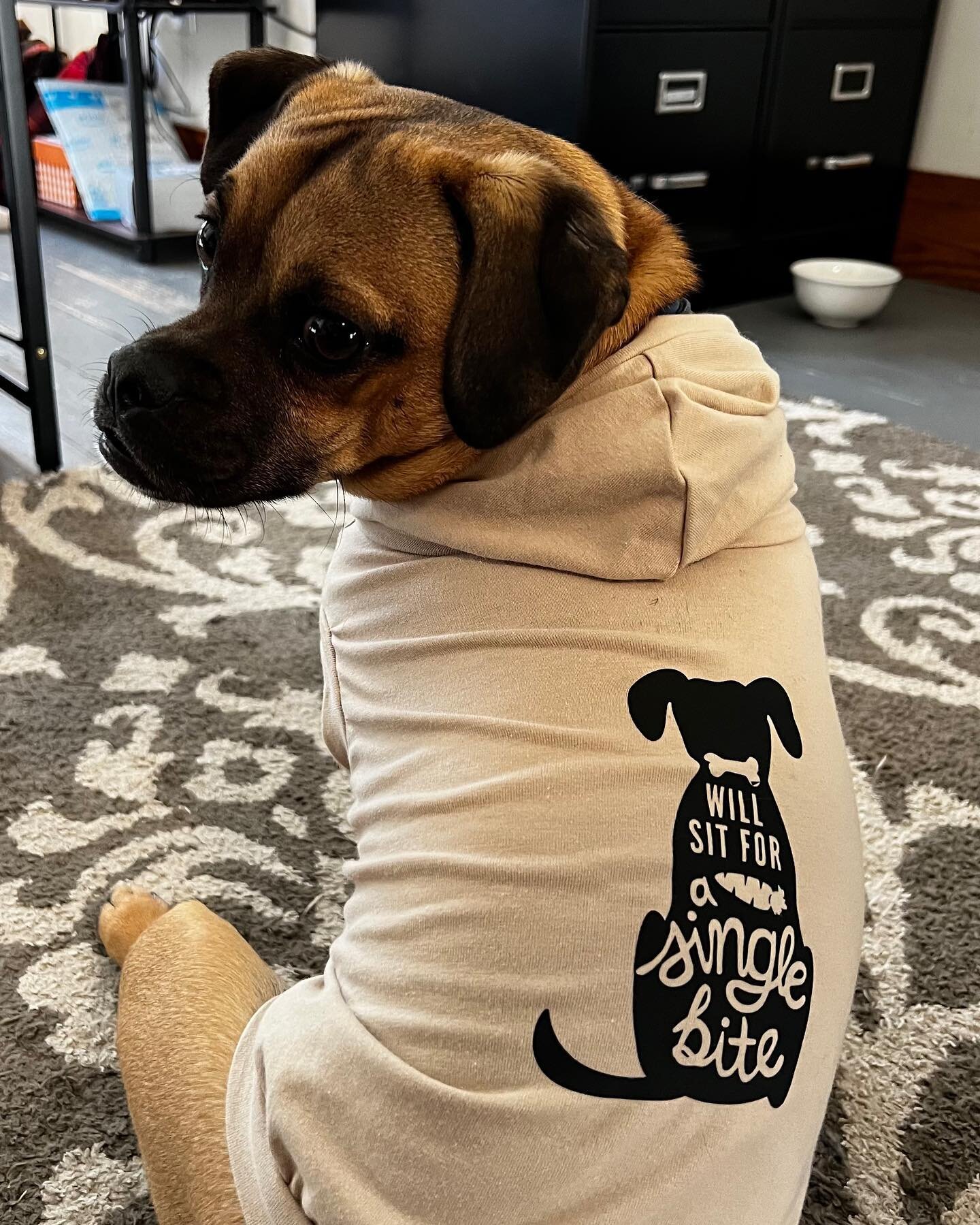 A little dose of cuteness for your Friday feed! Would you be interested in some paw-some ASB swag for your furry friend? Comment below 👇😃🐾