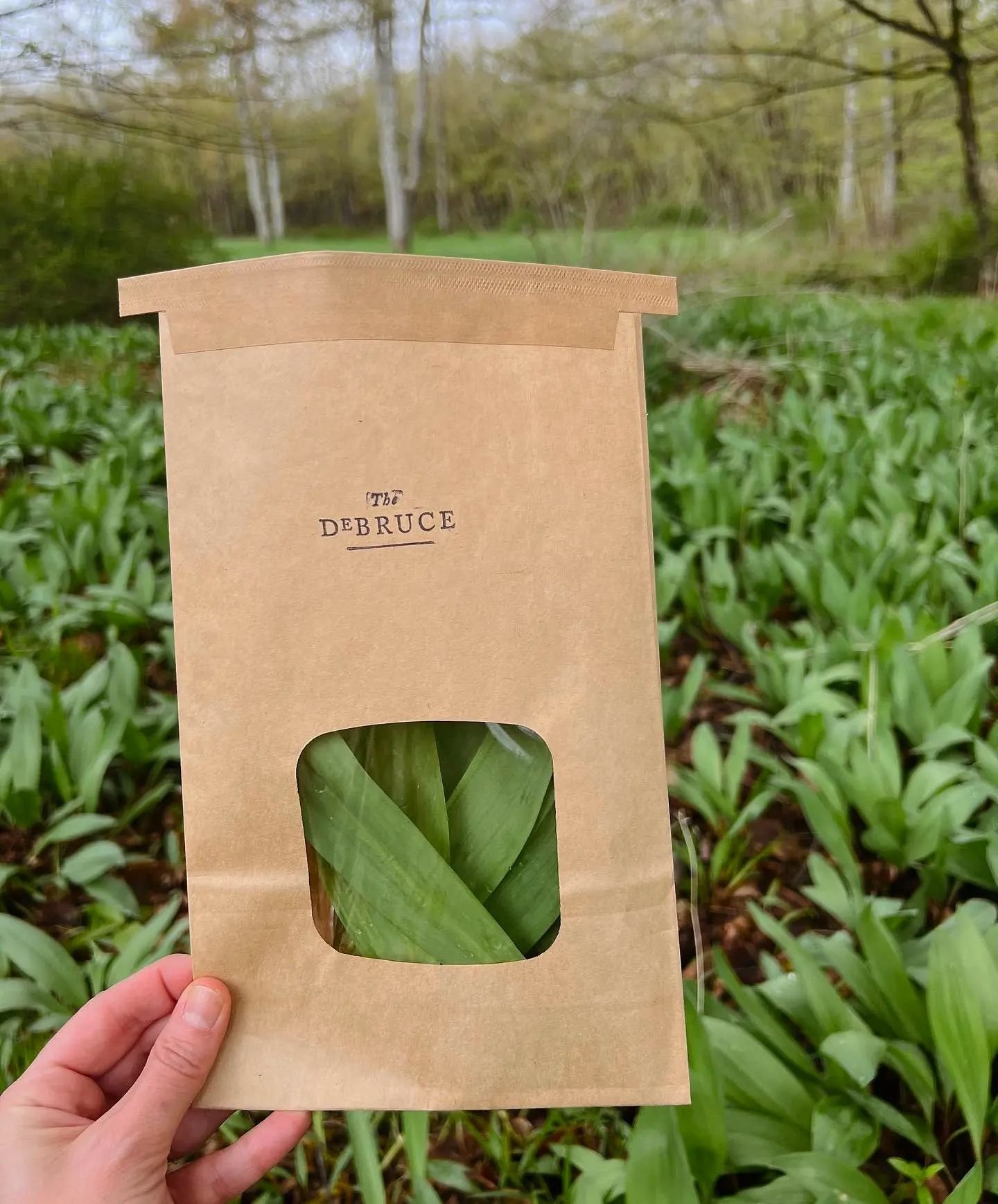 It's almost that time. Ramp season is coming soon. 🌱 #thedebruce 

Photo by: @saracurnow 

#upstate #newyork #rampseason #catskills #hotel #culinaryhotel #ny #restaurant