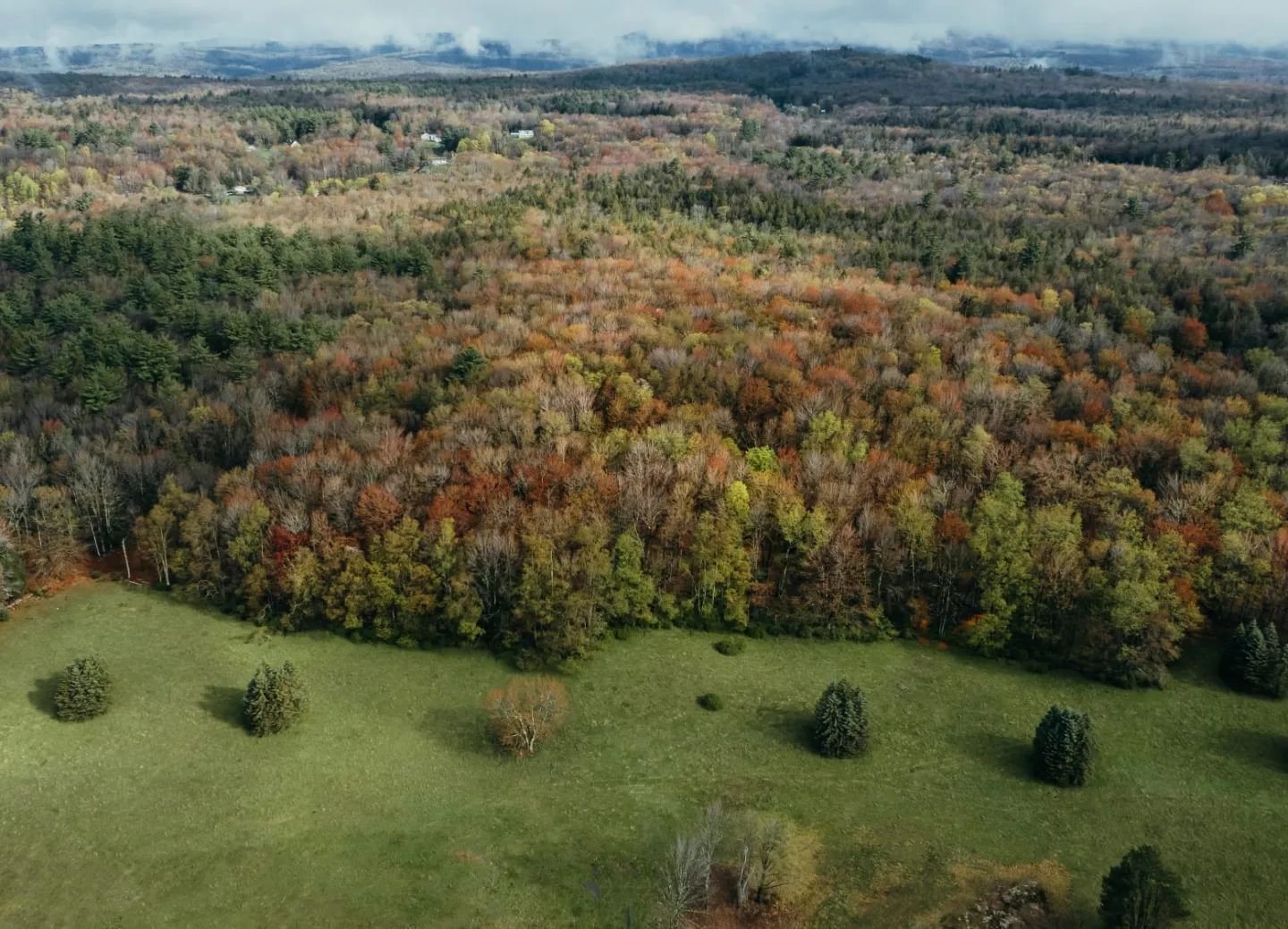 230-acre campus with woodsy nooks, hiking trails, and wildflower meadows. #hemlockneversink 

Photo by: @clay.banks