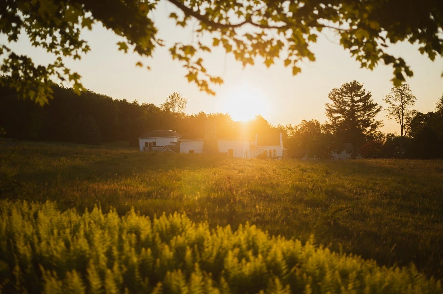 What would it feel like to pause with purpose?

Return to Self is your weekend invitation to do just that. We're partnering with @nadiamurdock to bring you an  intimate retreat to help you shed the noise and return to the truth of who you are. Throug