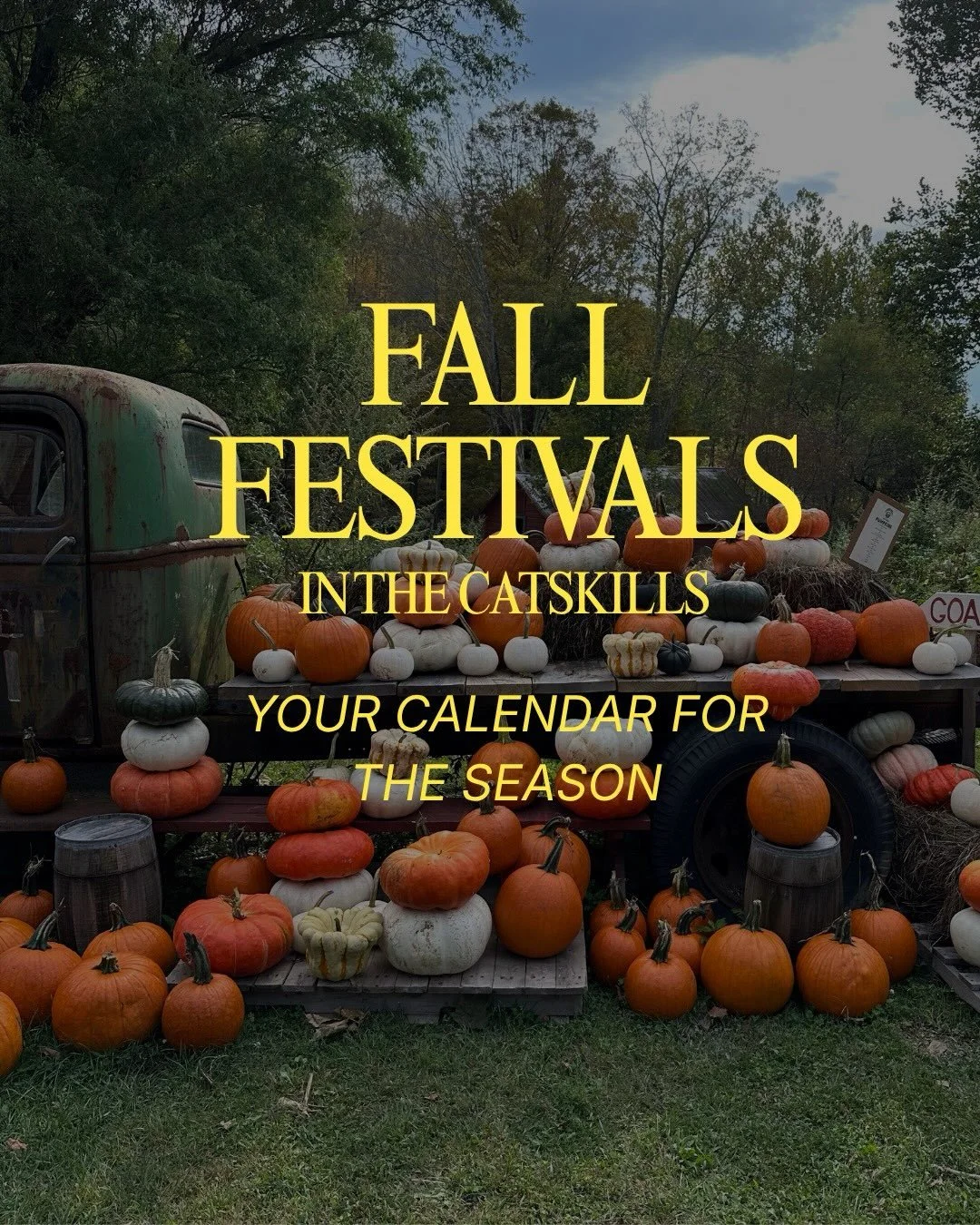 Your fall calendar, sorted. 🍂

Harvest festivals, independent films, farm days, art, pumpkins and plenty of reasons to head to the Catskills this September and October.

Save this for later, send it to the group chat and start planning your weekends