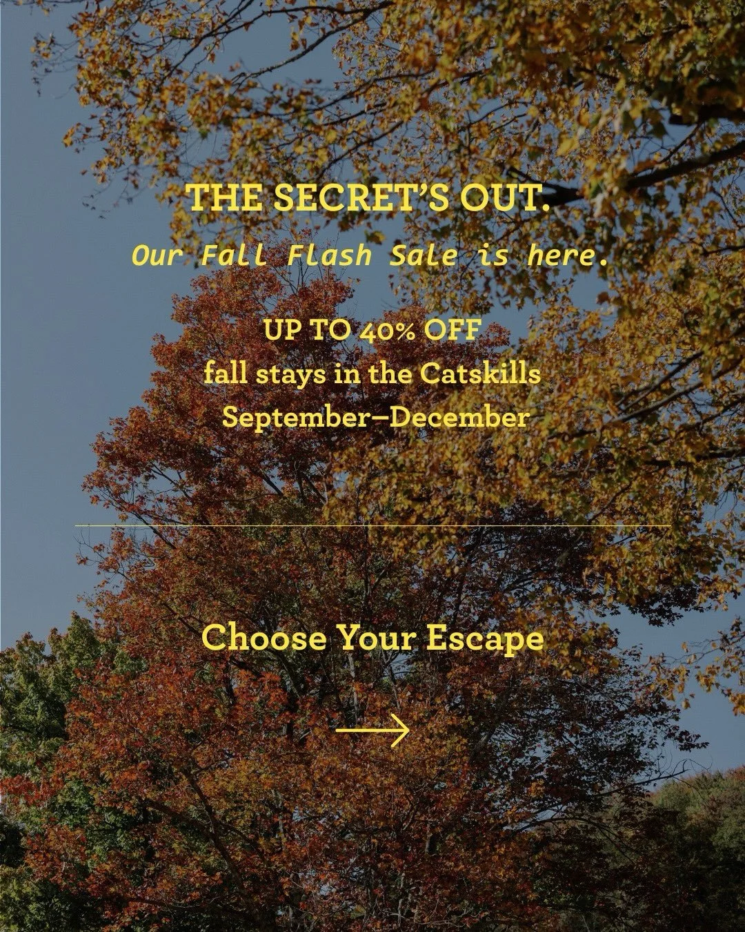 THE SECRET&rsquo;S OUT. 🍁

Our Fall Flash Sale is here!

Reserve your stay during our three-day sale and save up to 40% on select midweek and weekend dates from September through December.

Four properties. Four very different ways to do fall in the