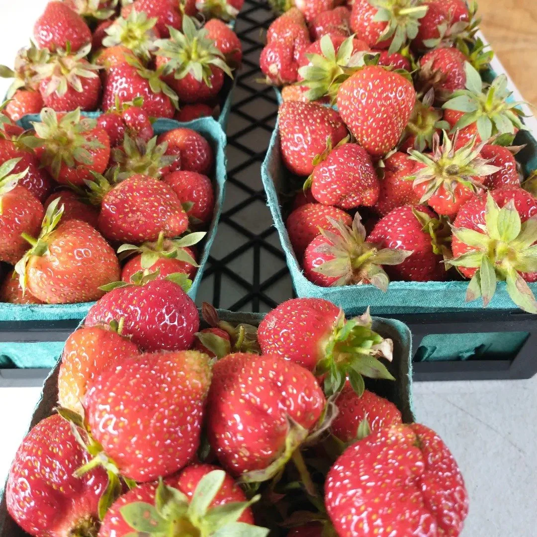 Fresh strawberries in green containers.