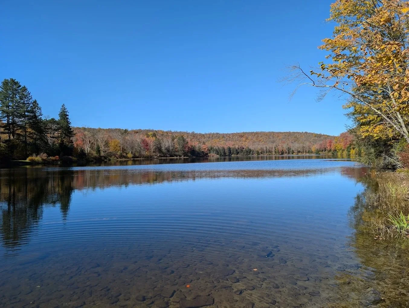 A peaceful lake surrounded by autumn trees with colorful leaves, under a clear blue sky.