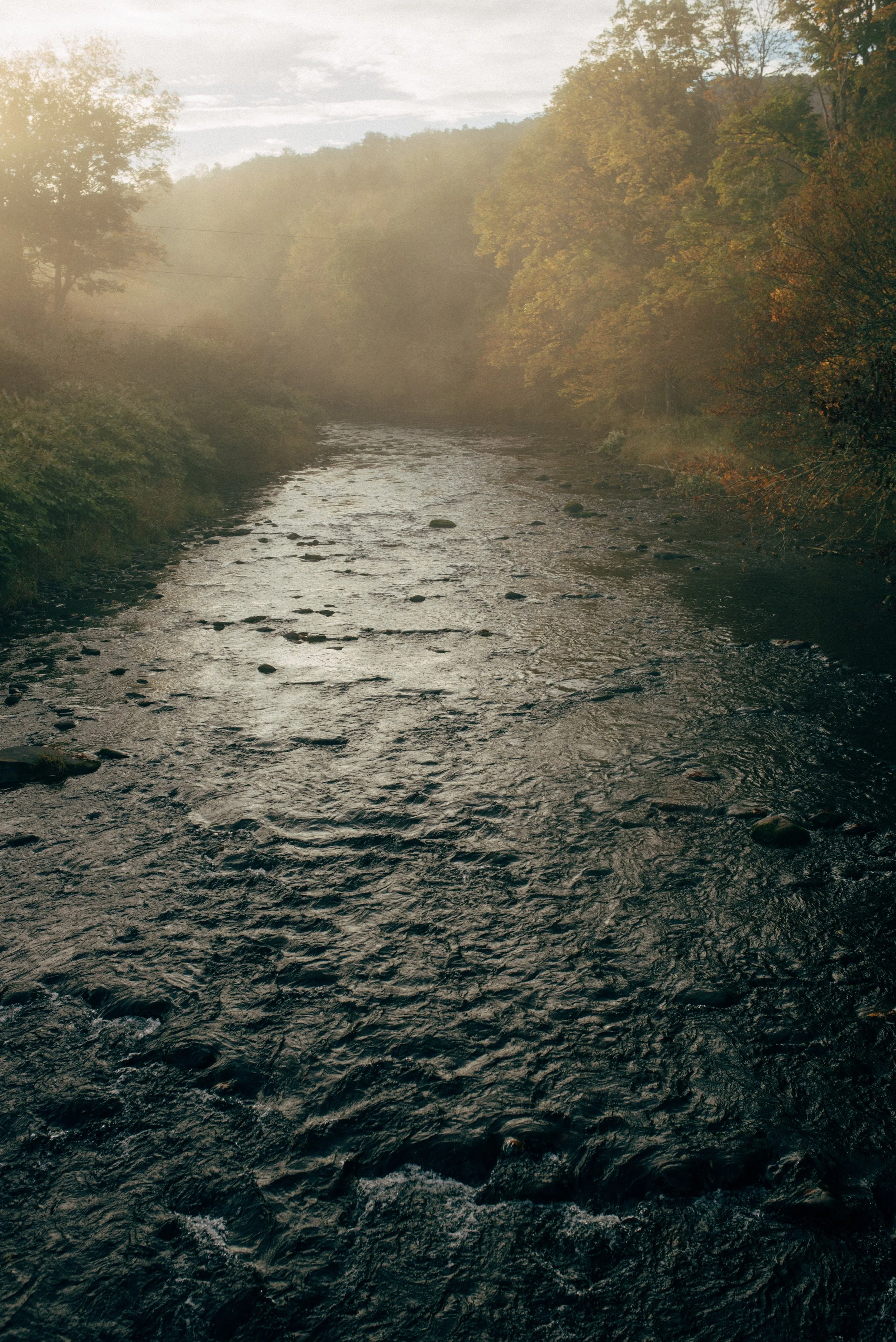 A serene river flowing through a wooded area with trees on both sides and sunlight filtering through the foggy atmosphere.