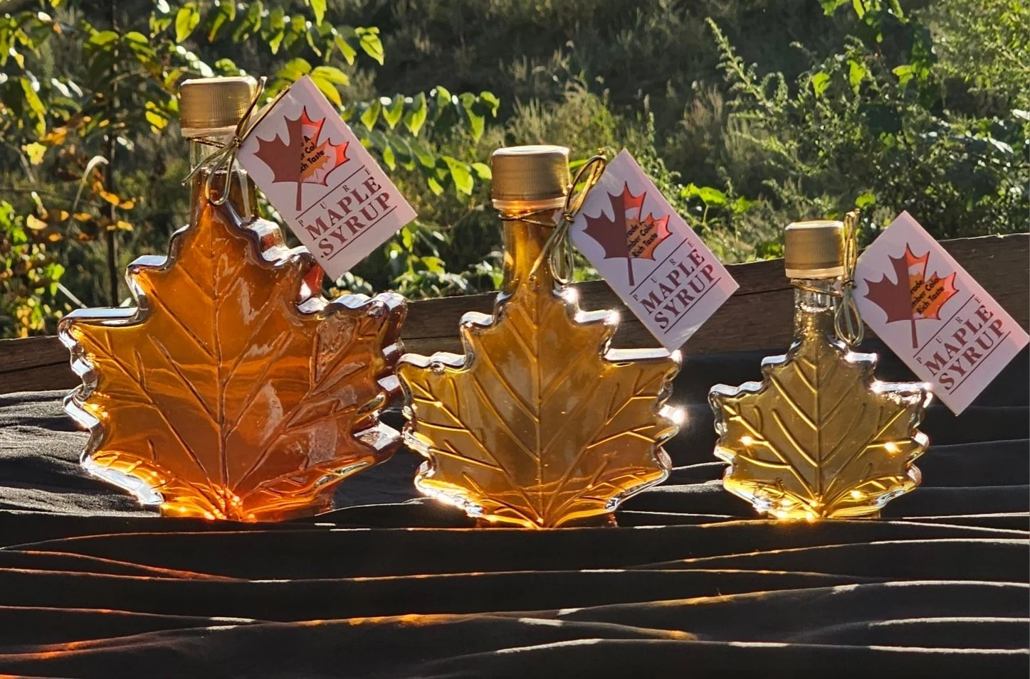 Three glass maple leaf-shaped bottles of syrup with gold caps, each with a label that reads 'Maple Syrup' and a maple leaf illustration; the bottles are illuminated by sunlight with a forest in the background.