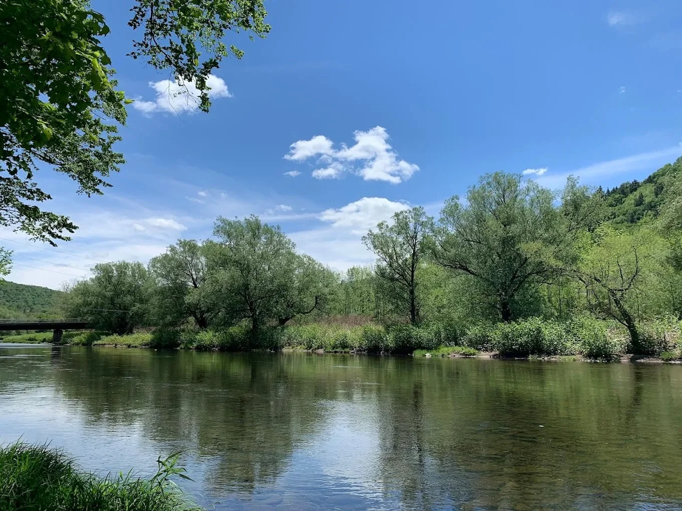A peaceful river scene with calm water reflecting green trees along the riverbank, under a bright blue sky with a few scattered clouds.