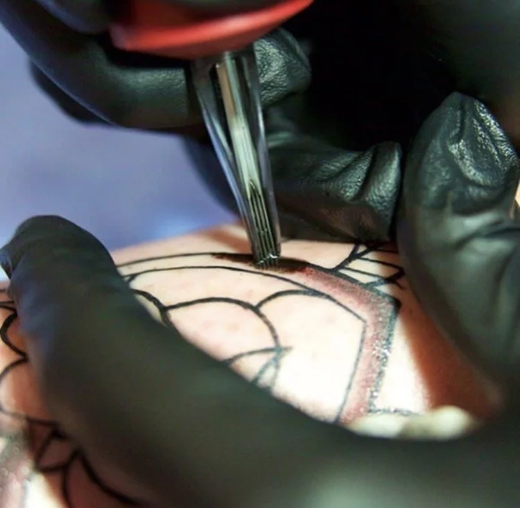 Needles1.jpg