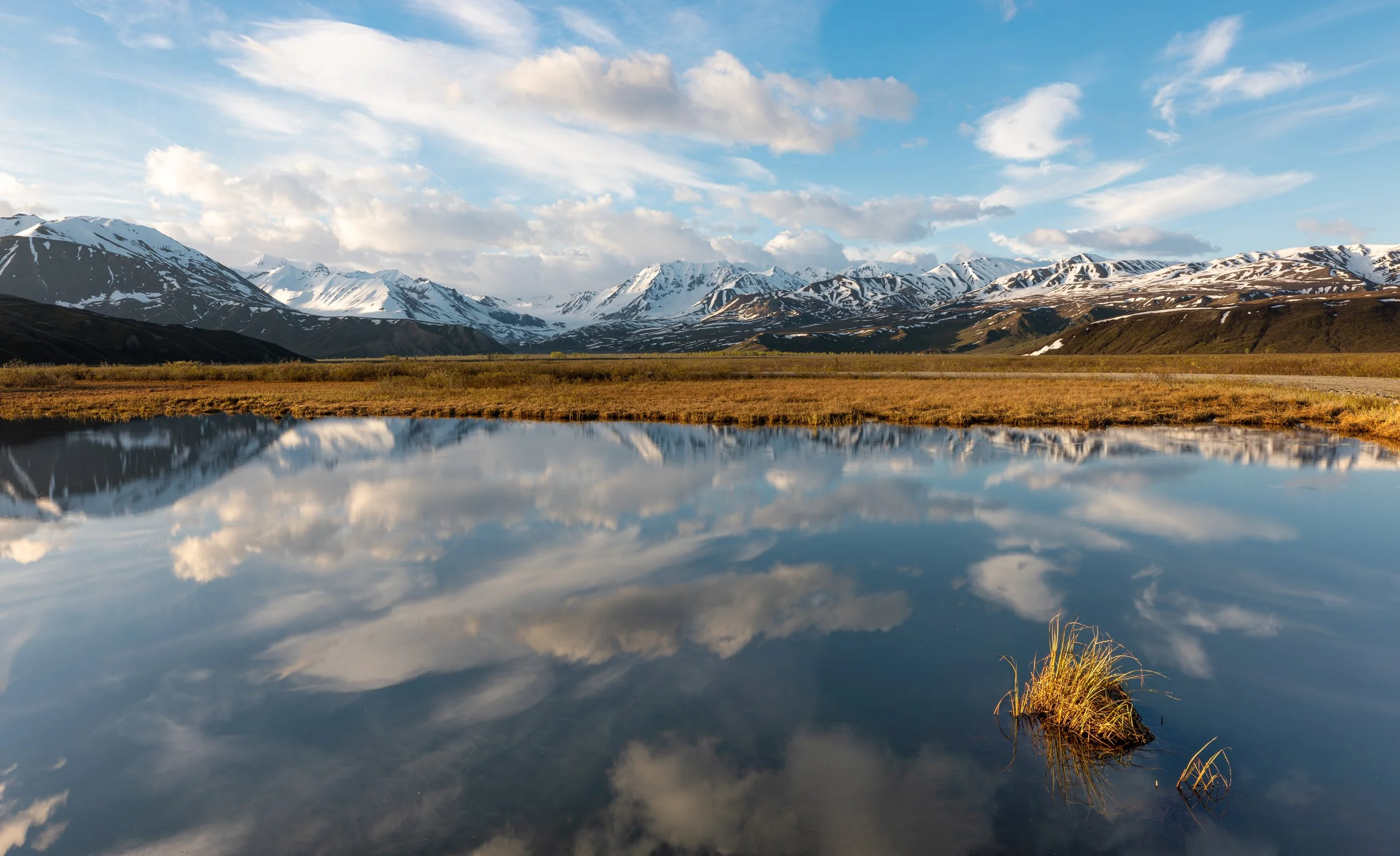 Into The Glass Mind.jpg